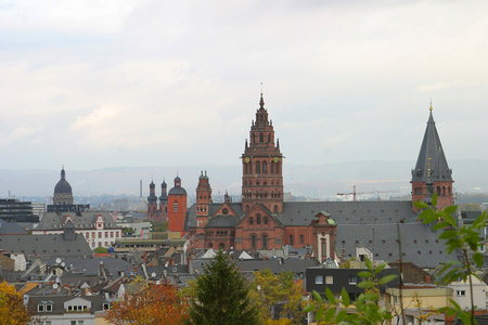 Umzug Mainz am Rhein